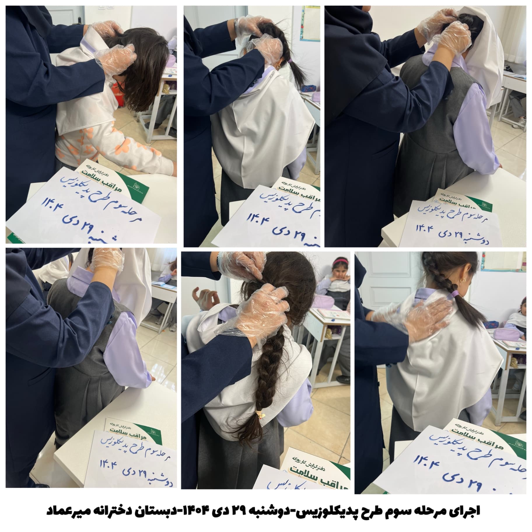 اجرای مراحل سهگانه طرح پدیکلوزیس